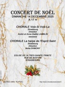 Affiche Noel 2025